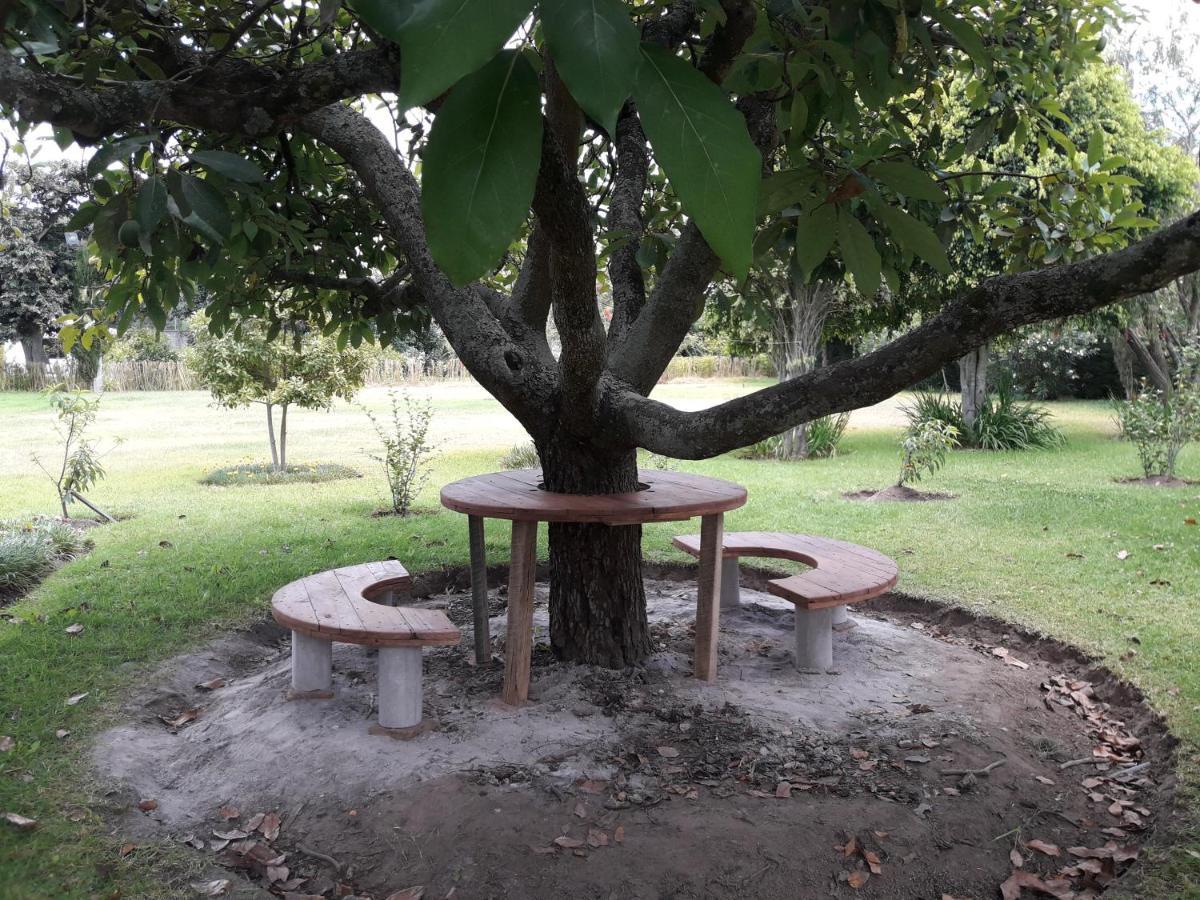 Quinta La Gardenia Ξενοδοχείο Puembo Εξωτερικό φωτογραφία
